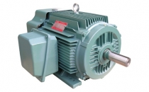 高壓電機(jī)的檢查和維護(hù)