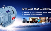 株洲皖南電機(jī)公司獲得E3-H系列船的電機(jī)型式認(rèn)可