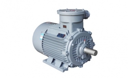 YBX3系列高效率隔爆型三相異步電動(dòng)機(jī)-湖南防爆電機(jī)