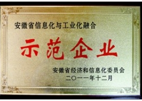 安徽省信息化與工業(yè)化融合示范企業(yè)