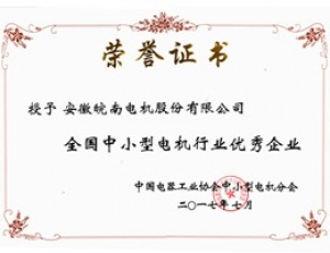 2017全國中小型電機(jī)行業(yè)******企業(yè)