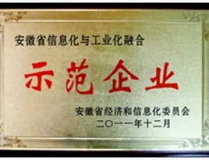 安徽省信息化與工業(yè)化融合示范企業(yè)