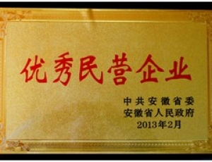 ******民營(yíng)企業(yè)