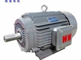 YE3超高效三相異步電動機-湖南電機