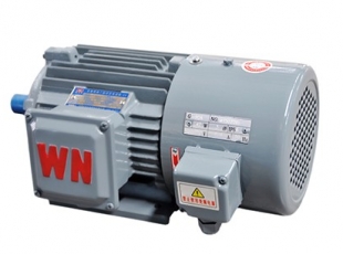 YXVF(YVP)系列變頻調(diào)速電動(dòng)機(jī)-湖南電機(jī)