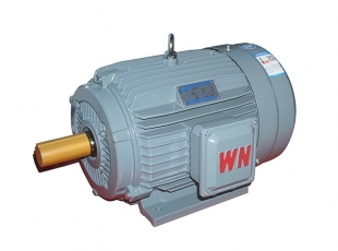 YE2系列高效率三相異步電動機-湖南電機