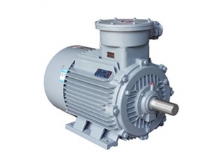 YBX3系列高效率隔爆型三相異步電動機(jī)-湖南防爆電機(jī)
