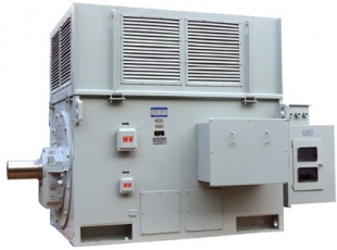 YR系列高壓三相異步電動機-湖南高壓電機