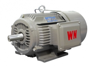 YEJ2系列電磁制動(dòng)三相異步電動(dòng)機(jī)-湖南電機(jī)