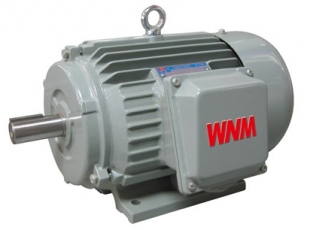 YJZ2系列機(jī)床專用三相異步電動(dòng)機(jī)-湖南電機(jī)