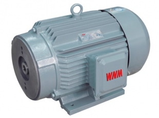 YYB系列油泵專用三相異步電動(dòng)機(jī)-湖南電機(jī)